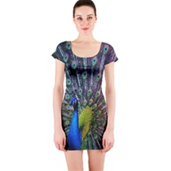 Peacock Colors Bird Colorful Short Sleeve Bodycon Dress