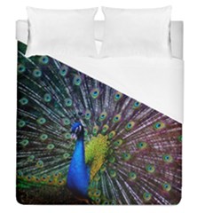 Peacock Colors Bird Colorful Duvet Cover (queen Size) by Vaneshart