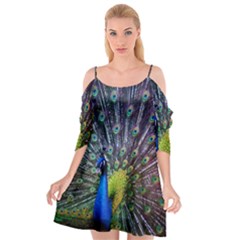 Peacock Colors Bird Colorful Cutout Spaghetti Strap Chiffon Dress