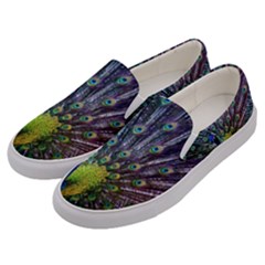 Peacock Colors Bird Colorful Men s Canvas Slip Ons