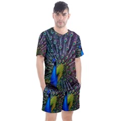 Peacock Colors Bird Colorful Men s Mesh Tee and Shorts Set