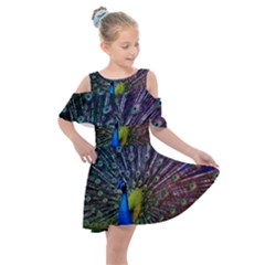 Peacock Colors Bird Colorful Kids  Shoulder Cutout Chiffon Dress