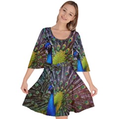 Peacock Colors Bird Colorful Velour Kimono Dress