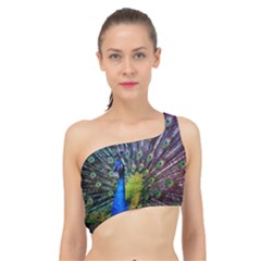 Peacock Colors Bird Colorful Spliced Up Bikini Top 