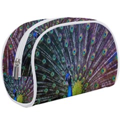 Peacock Colors Bird Colorful Makeup Case (Large)