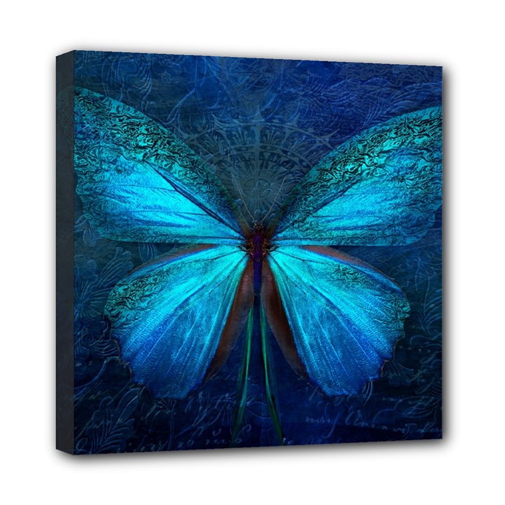 Animal Butterfly Insect Mini Canvas 8  x 8  (Stretched)