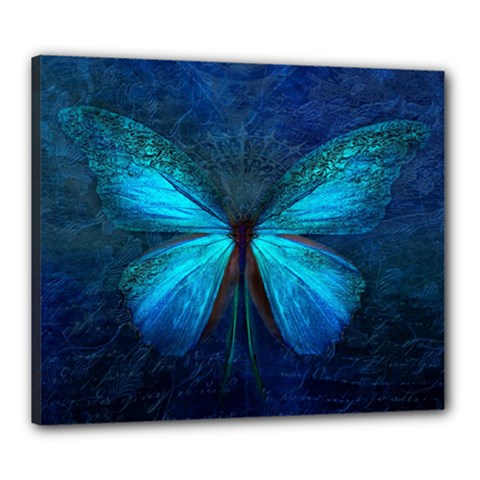 Animal Butterfly Insect Canvas 24  x 20  (Stretched)