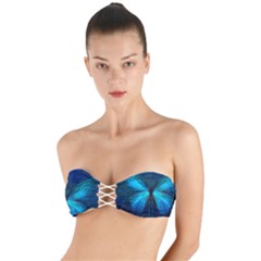 Animal Butterfly Insect Twist Bandeau Bikini Top