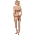 Nice Stripes - Burnt Orange Classic Bandeau Bikini Set View2