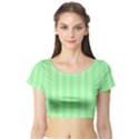 Nice Stripes - Mint Green Short Sleeve Crop Top View1