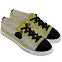 Birds And Sunshine With A Big Bottle Peace And Love Men s Low Top Canvas Sneakers View3