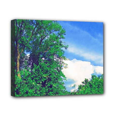 Drawing Of A Summer Day Canvas 10  X 8  (stretched) by Fractalsandkaleidoscopes