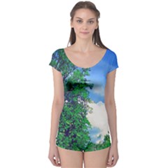 Drawing Of A Summer Day Boyleg Leotard  by Fractalsandkaleidoscopes