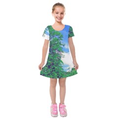 Drawing Of A Summer Day Kids  Short Sleeve Velvet Dress