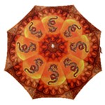 Wonderful Chinese Dragon Straight Umbrellas