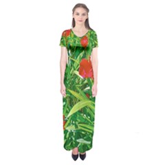 Red Flowers And Green Plants At Outdoor Garden Short Sleeve Maxi Dress by dflcprintsclothing