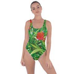 Red Flowers And Green Plants At Outdoor Garden Bring Sexy Back Swimsuit by dflcprintsclothing