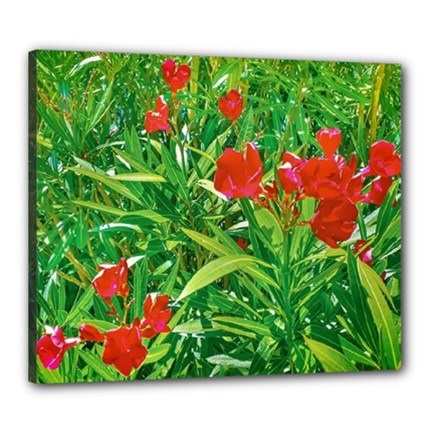 Red Flowers And Green Plants At Outdoor Garden Canvas 24  X 20  (stretched) by dflcprintsclothing