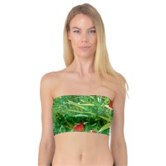 Red Flowers And Green Plants At Outdoor Garden Bandeau Top by dflcprintsclothing