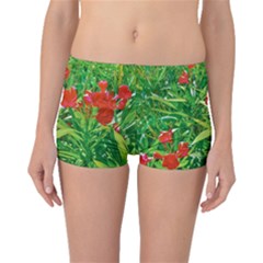 Red Flowers And Green Plants At Outdoor Garden Boyleg Bikini Bottoms by dflcprintsclothing