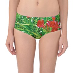 Red Flowers And Green Plants At Outdoor Garden Mid-waist Bikini Bottoms