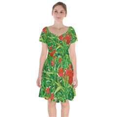 Red Flowers And Green Plants At Outdoor Garden Short Sleeve Bardot Dress by dflcprintsclothing