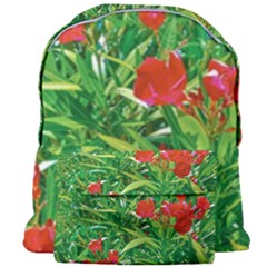 Red Flowers And Green Plants At Outdoor Garden Giant Full Print Backpack by dflcprintsclothing