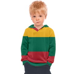 Lithuania Flag Kids  Overhead Hoodie by FlagGallery