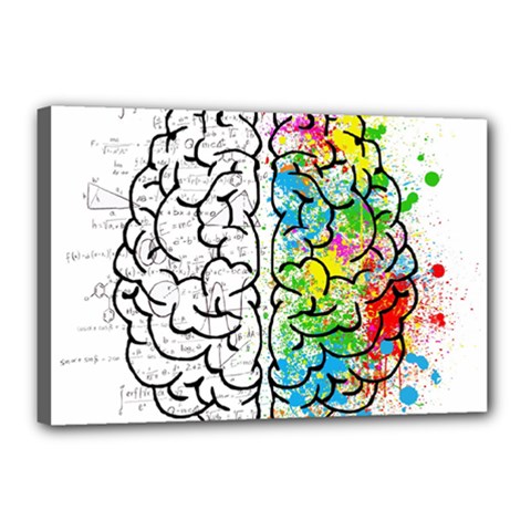 Brain Mind Psychology Idea Drawing Canvas 18  X 12  (stretched) by Wegoenart