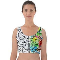 Brain Mind Psychology Idea Drawing Velvet Crop Top by Wegoenart