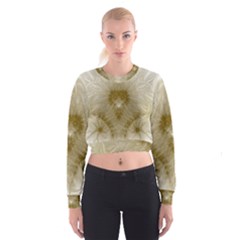 Fractal Abstract Pattern Background Cropped Sweatshirt by Wegoenart