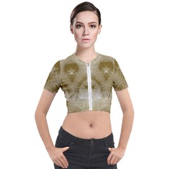 Fractal Abstract Pattern Background Short Sleeve Cropped Jacket