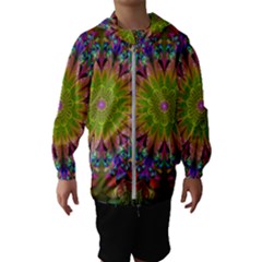 Fractal Abstract Background Pattern Kids  Hooded Windbreaker