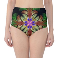 Fractal Abstract Flower Floral Classic High-waist Bikini Bottoms by Wegoenart