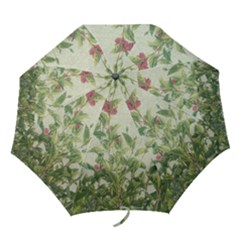 Botanical Vintage Style Motif Artwork 2 Folding Umbrellas by dflcprintsclothing