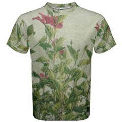 Botanical Vintage Style Motif Artwork 2 Men s Cotton Tee