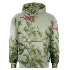 Botanical Vintage Style Motif Artwork 2 Men s Core Hoodie