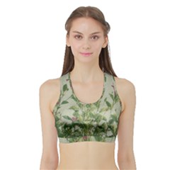 Botanical Vintage Style Motif Artwork 2 Sports Bra With Border by dflcprintsclothing