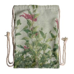 Botanical Vintage Style Motif Artwork 2 Drawstring Bag (large) by dflcprintsclothing