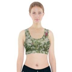 Botanical Vintage Style Motif Artwork 2 Sports Bra With Pocket by dflcprintsclothing