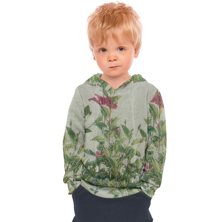 Botanical Vintage Style Motif Artwork 2 Kids  Overhead Hoodie