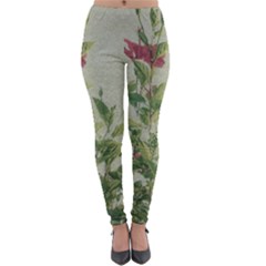 Botanical Vintage Style Motif Artwork 2 Lightweight Velour Leggings by dflcprintsclothing