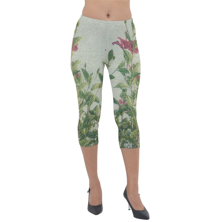 Botanical Vintage Style Motif Artwork 2 Lightweight Velour Capri Leggings 