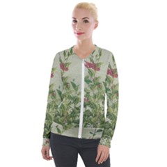 Botanical Vintage Style Motif Artwork 2 Velour Zip Up Jacket by dflcprintsclothing