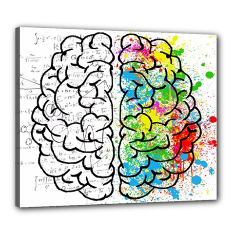 Brain Mind Psychology Idea Drawing Canvas 24  X 20  (stretched) by Wegoenart