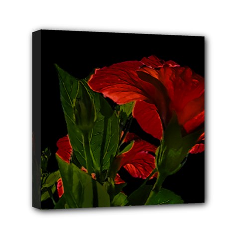 Dark Floral Photo Illustration Mini Canvas 6  X 6  (stretched) by dflcprintsclothing