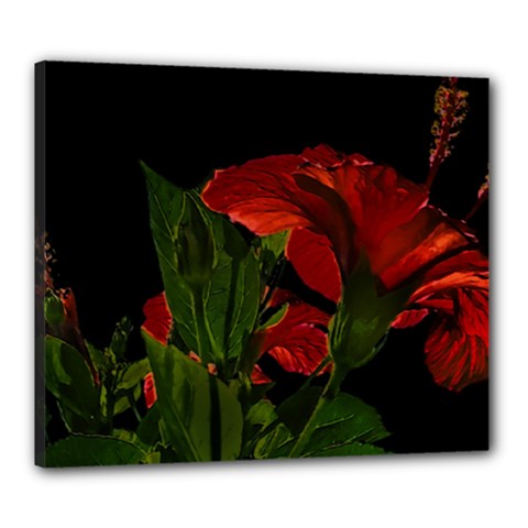 Dark Floral Photo Illustration Canvas 24  X 20  (stretched)