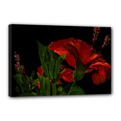 Dark Floral Photo Illustration Canvas 18  X 12  (stretched) by dflcprintsclothing