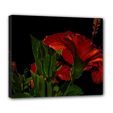 Dark Floral Photo Illustration Deluxe Canvas 24  X 20  (stretched)