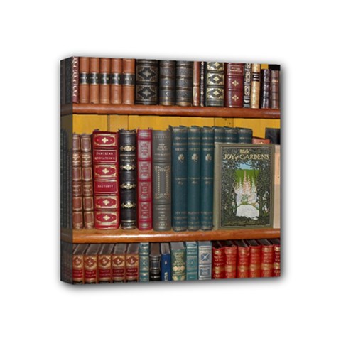 Books Library Bookshelf Bookshop Mini Canvas 4  X 4  (stretched) by Nexatart